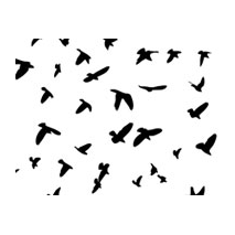 Kit stickers d'oiseaux