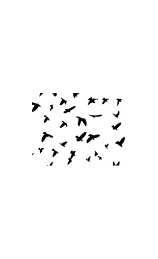 Kit stickers d'oiseaux
