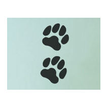 Sticker pattes de chien