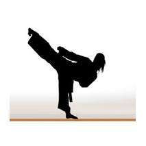 Sticker Taekwondo 4