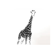 Sticker girafe