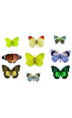 Sticker kit de papillons 2