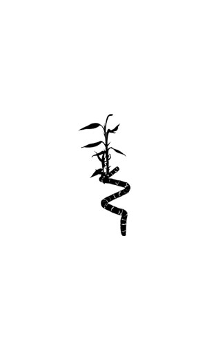 Sticker Bambou fleuri