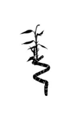 Sticker Bambou fleuri