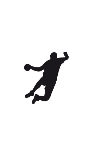 Sticker handball