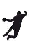 Sticker handball