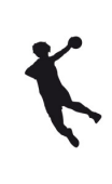 Sticker handball