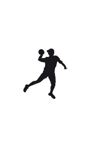 Sticker handball