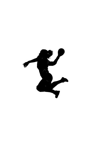 Sticker handball