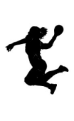 Sticker handball