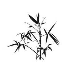 Sticker bambou zen