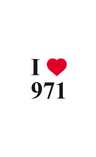 Sticker I love 971