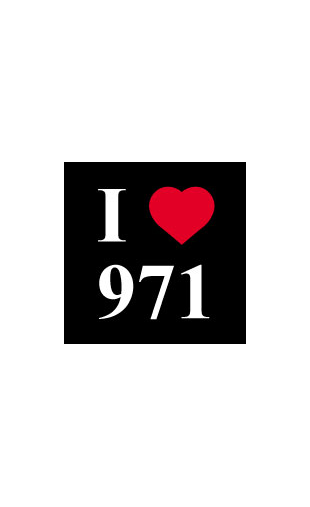 Sticker I love 971