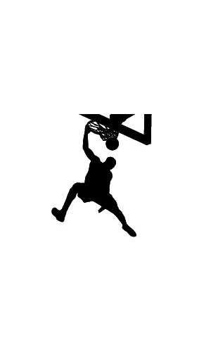 sticker basket dunk