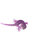 Sticker Gecko