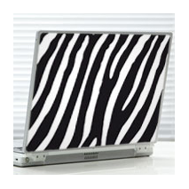 Sticker zèbre