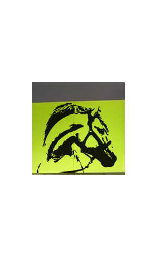 Tête de cheval