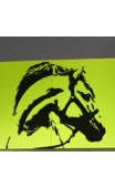 Tête de cheval