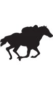 Sticker cheval galop