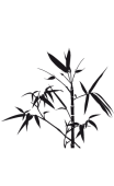 Sticker bambou zen