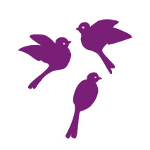 Sticker oiseaux enfants