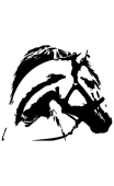 Tête de cheval