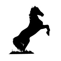 Sticker cheval cabrÃ©