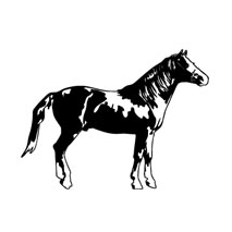 sticker cheval