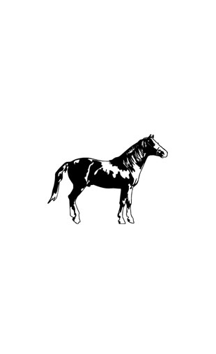 sticker cheval