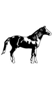 sticker cheval